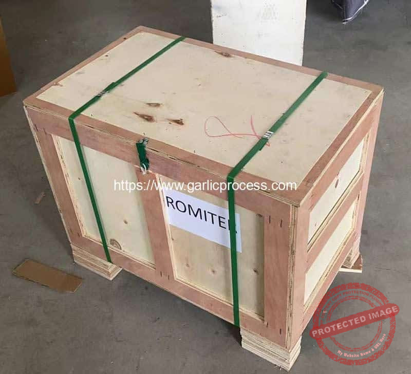 Automatic-Garlic-Root-and-Stem-Cutter-Machine-for-South-Africa-Customer